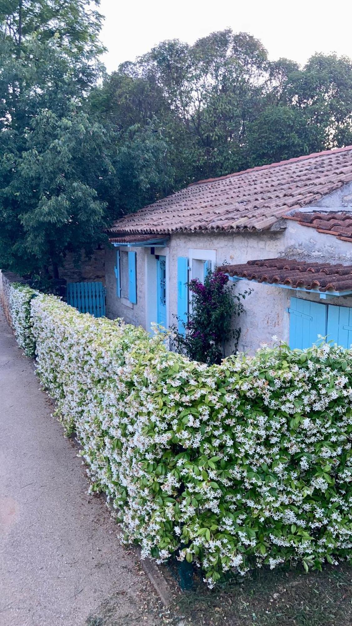 Vila Majda Тар Экстерьер фото